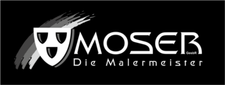 Logo von Malermeister Hannes Moser